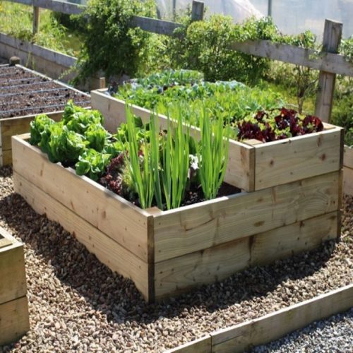 Avoiding Unnecessary Landscape Design Mistakes